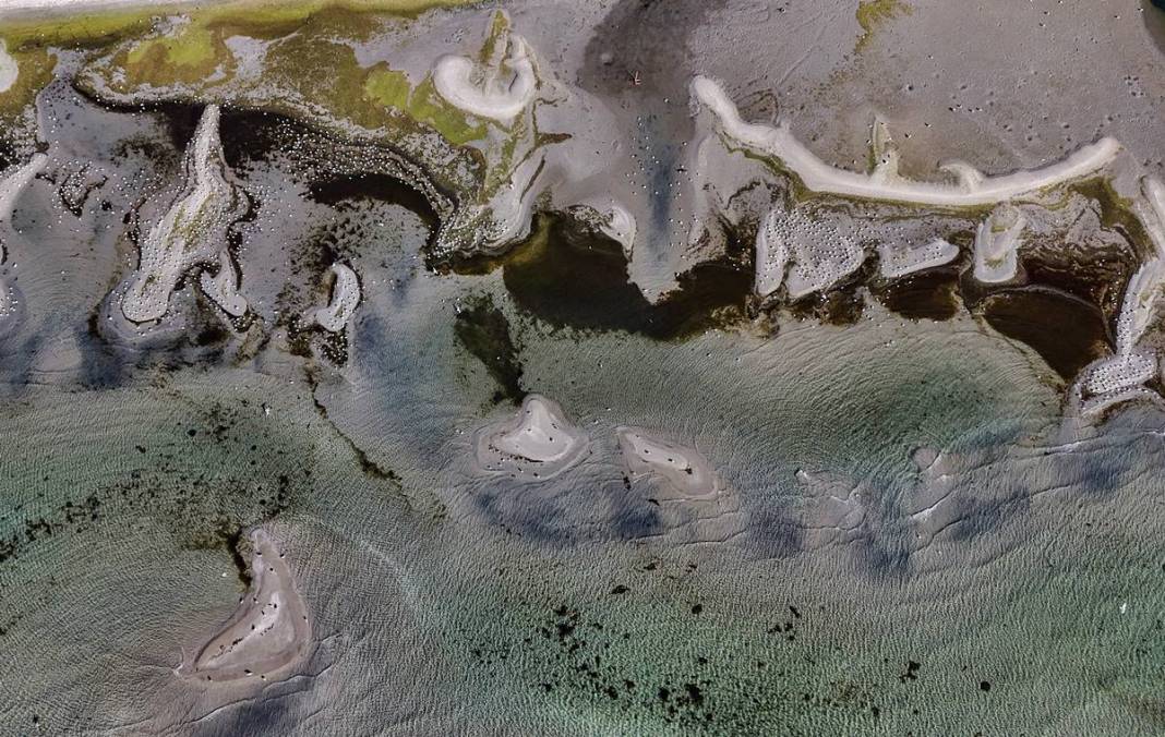 O kentte endişelendiren görüntü: Balıkçılar avlanmaya çıkamadı! Bu kadarı daha önce yaşanmadı 14